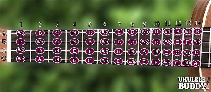 Ukulele Chords