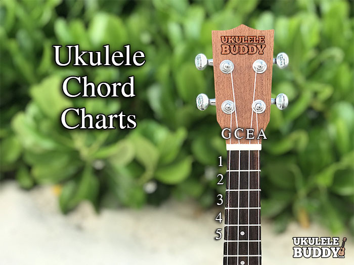 4 string bass guitar chord chart